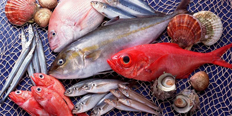 Cần mua cá ở địa chỉ uy tín, tránh việc mua phải cá tẩm chất bảo quản