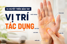 14 huyệt trên bàn tay: vị trí, tác dụng, cách bấm huyệt