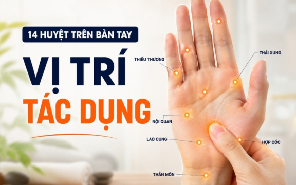 14 huyệt trên bàn tay: vị trí, tác dụng, cách bấm huyệt