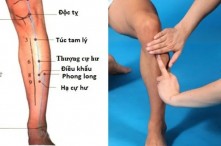 Huyệt túc tam lý: Vị trí, công dụng, cách bấm huyệt chính xác