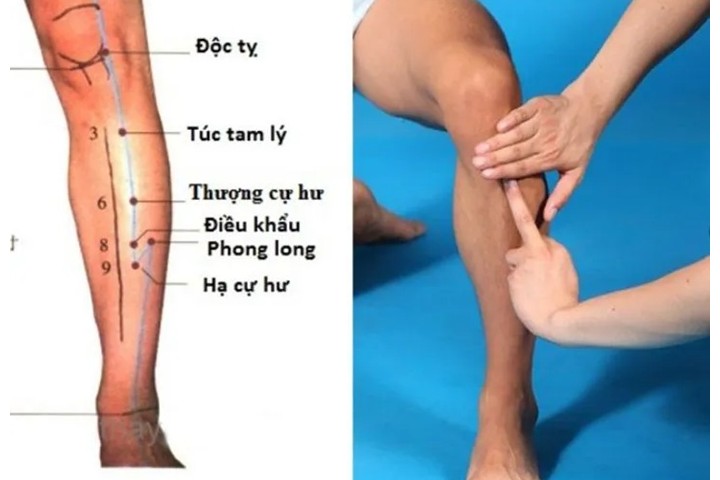 Huyệt túc tam lý: Vị trí, công dụng, cách bấm huyệt chính xác