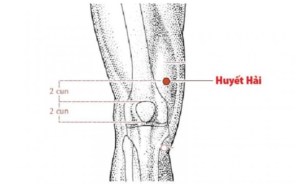 Huyệt huyết hải: Vị trí, công dụng và cách bấm huyệt chính xác
