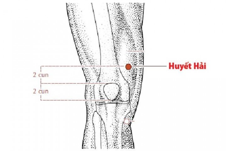 Huyệt huyết hải: Vị trí, công dụng và cách bấm huyệt chính xác