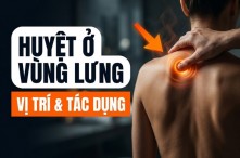 Các huyệt ở vùng lưng: Vị trí, tác dụng, cách bấm huyệt hiệu quả