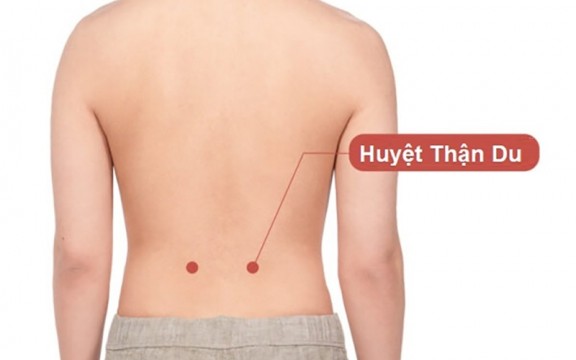 Huyệt Thận Du: Vị trí, công dụng và cách châm cứu, bấm huyệt