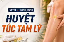 Huyệt túc tam lý: Vị trí, công dụng, cách bấm huyệt chính xác
