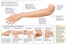 Vị trí các huyệt ở cổ tay và cánh tay quan trọng trên cơ thể