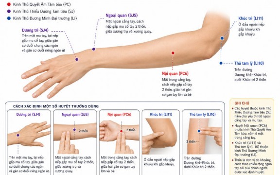 Vị trí các huyệt ở cổ tay và cánh tay quan trọng trên cơ thể
