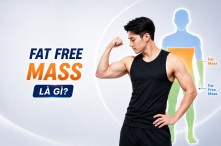 Fat Free Mass (FFM) Là Gì? Ý Nghĩa Chỉ Số FFM Cao Hay Thấp