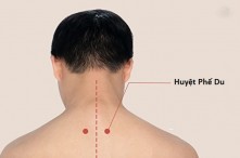 5 điều cần biết về huyệt Phế Du trước khi tự bấm huyệt tại nhà