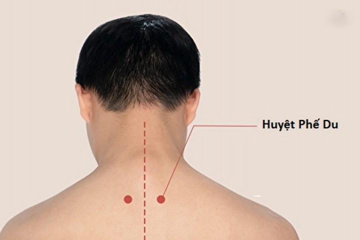 5 điều cần biết về huyệt Phế Du trước khi tự bấm huyệt tại nhà