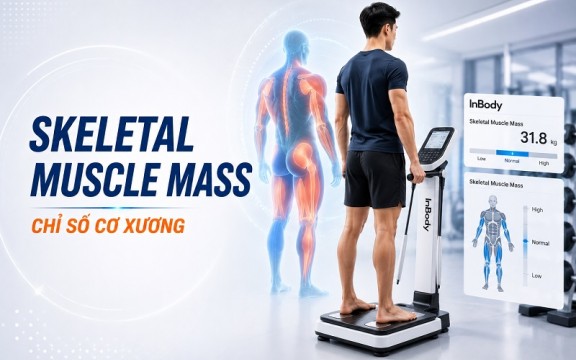 Skeletal Muscle Mass là gì? Cách đo và đánh giá chỉ số cơ xương