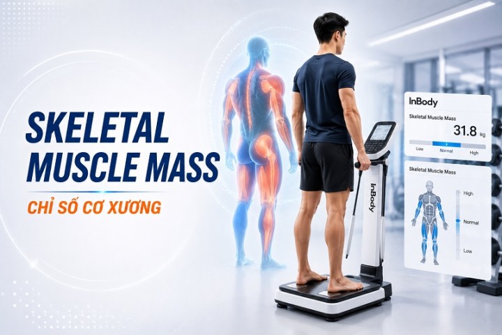 Skeletal Muscle Mass là gì? Cách đo và đánh giá chỉ số cơ xương