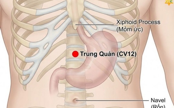 Huyệt trung quản: Vị trí, tác dụng và cách bấm huyệt hiệu quả