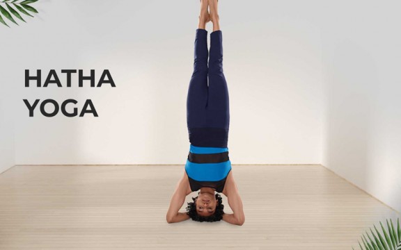 Hatha yoga là gì? Hướng dẫn các bài tập Hatha yoga cho người mới bắt đầu
