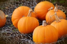 Bật Mí Trong 100g Bí Đỏ Bao Nhiêu Calo? 