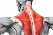 Cầu vai là gì? Top 5 bài tập cầu vai chuẩn đẹp cho Gymer