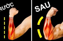 Những Bài Tập Tay Trước Tại Nhà Siết Cơ Giảm Mỡ Thần Tốc