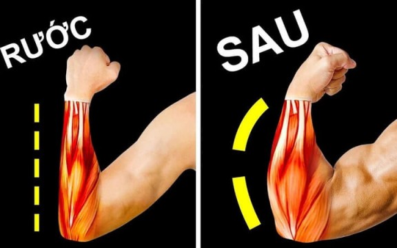 Những Bài Tập Tay Trước Tại Nhà Siết Cơ Giảm Mỡ Thần Tốc