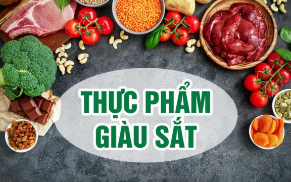 Tổng Hợp Những Thực Phẩm Giàu Sắt Cho Người Thiếu Máu Tốt Nhất