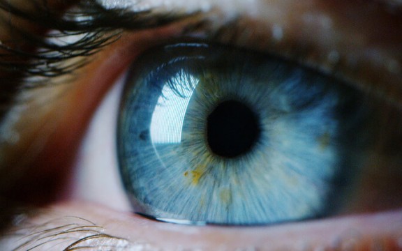 Mắt Người: Cấu Tạo Của Mắt, Chức Năng Và Cơ Chế Hoạt Động