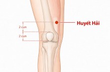 Huyệt huyết hải: Vị trí, công dụng và cách bấm huyệt chính xác