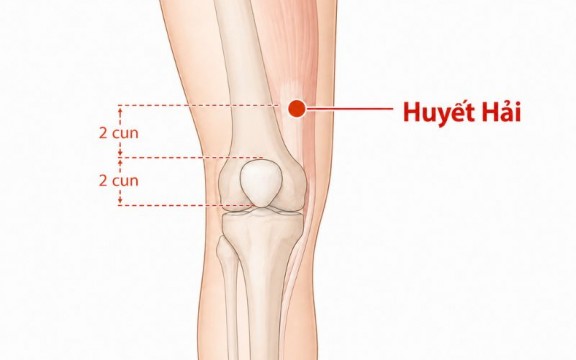 Huyệt huyết hải: Vị trí, công dụng và cách bấm huyệt chính xác
