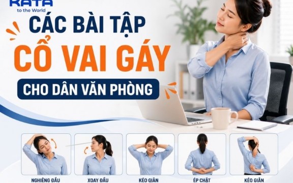 9 bài tập cổ vai gáy cho dân văn phòng giúp giảm đau mỏi hiệu quả
