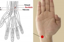 Vị trí các huyệt ở cổ tay và cánh tay quan trọng trên cơ thể