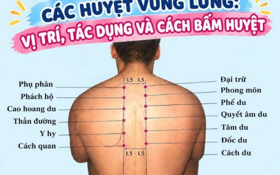 Các huyệt vùng lưng: Vị trí, tác dụng và cách bấm huyệt