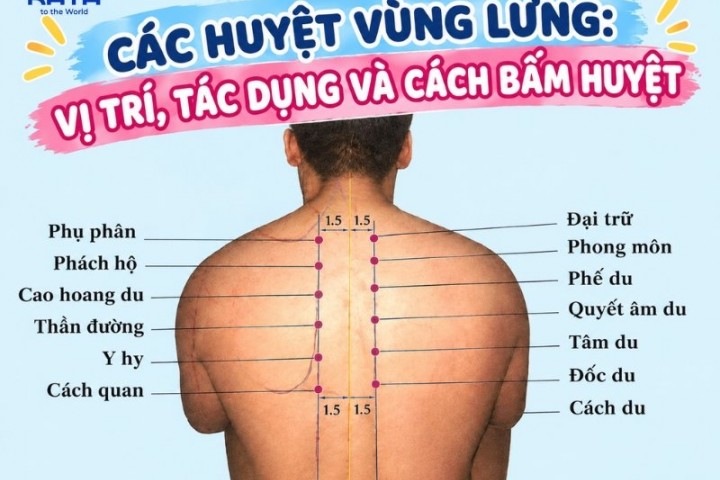 Các huyệt vùng lưng: Vị trí, tác dụng và cách bấm huyệt
