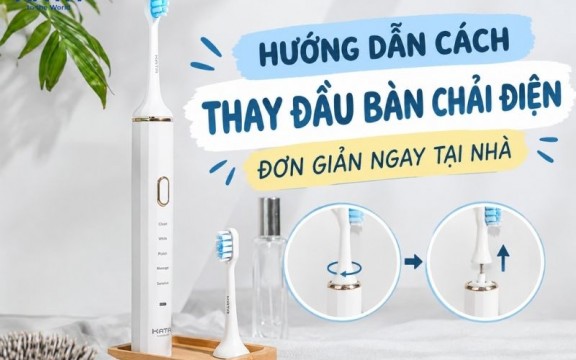 Hướng dẫn cách thay đầu bàn chải điện đơn giản ngay tại nhà