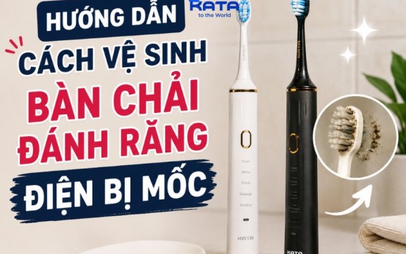 Hướng dẫn cách vệ sinh bàn chải đánh răng điện bị mốc