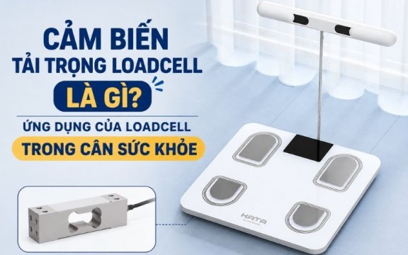 Cảm biến tải trọng Loadcell là gì? Ứng dụng của loadcell trong cân sức khỏe