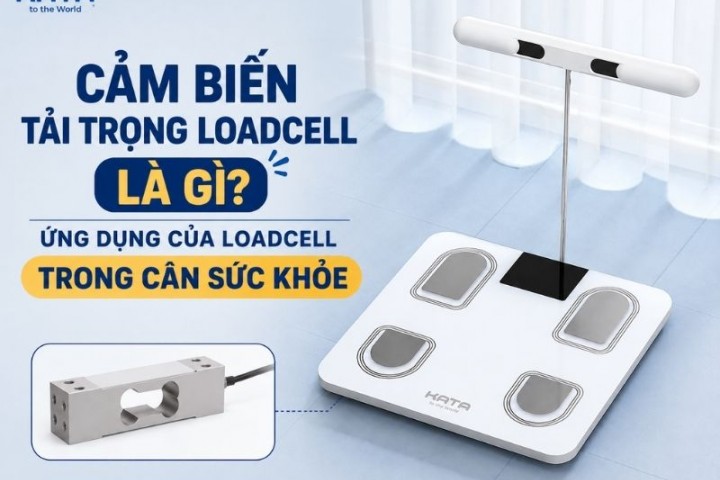 Cảm biến tải trọng Loadcell là gì? Ứng dụng của loadcell trong cân sức khỏe