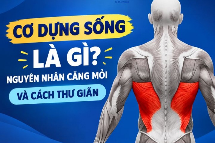 Cơ dựng sống là gì? Nguyên nhân căng mỏi và cách thư giãn