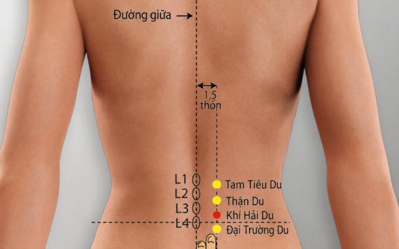Huyệt Khí Hải Du nằm ở đâu? Vai trò và cách bấm huyệt