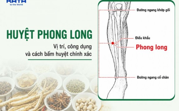 Huyệt Phong Long: Vị Trí, công dụng và cách bấm huyệt tại nhà