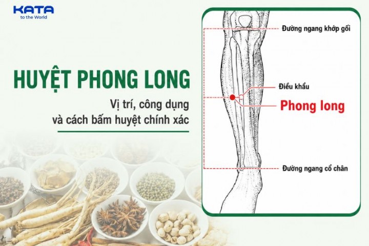 Huyệt Phong Long: Vị Trí, công dụng và cách bấm huyệt tại nhà