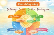 Cách chọn kem chống nắng cho các loại da phù hợp: da thường, da dầu, da khô, da nhạy cảm