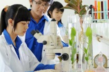 Gợi ý quà tặng cho chuyên viên môi trường ý nghĩa và độc đáo