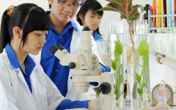 Gợi ý quà tặng cho chuyên viên môi trường ý nghĩa và độc đáo