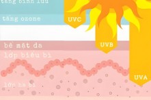 Tia UVA, UVB, UVC là gì? Tác hại của tia UVA, UVB,UVC đối với da