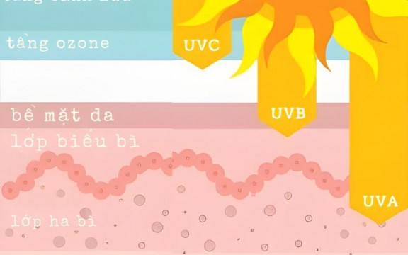 Tia UVA, UVB, UVC là gì? Tác hại của tia UVA, UVB,UVC đối với da