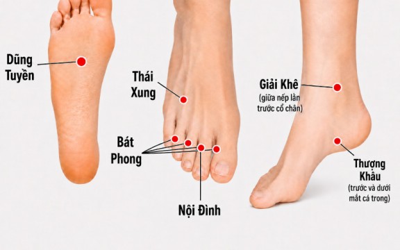 6 huyệt ở bàn chân: Vị trí, Tác dụng và Cách bấm huyệt