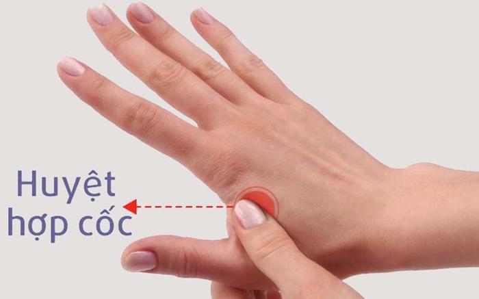 Huyệt hợp cốc