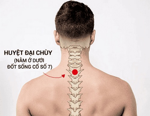 Huyệt Đại Chùy