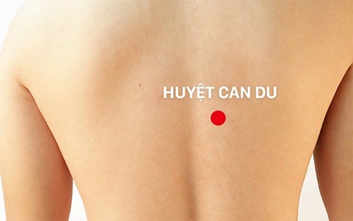 Huyệt Can Du