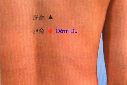 Huyệt Đởm Du