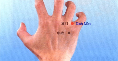 Huyệt dịch môn